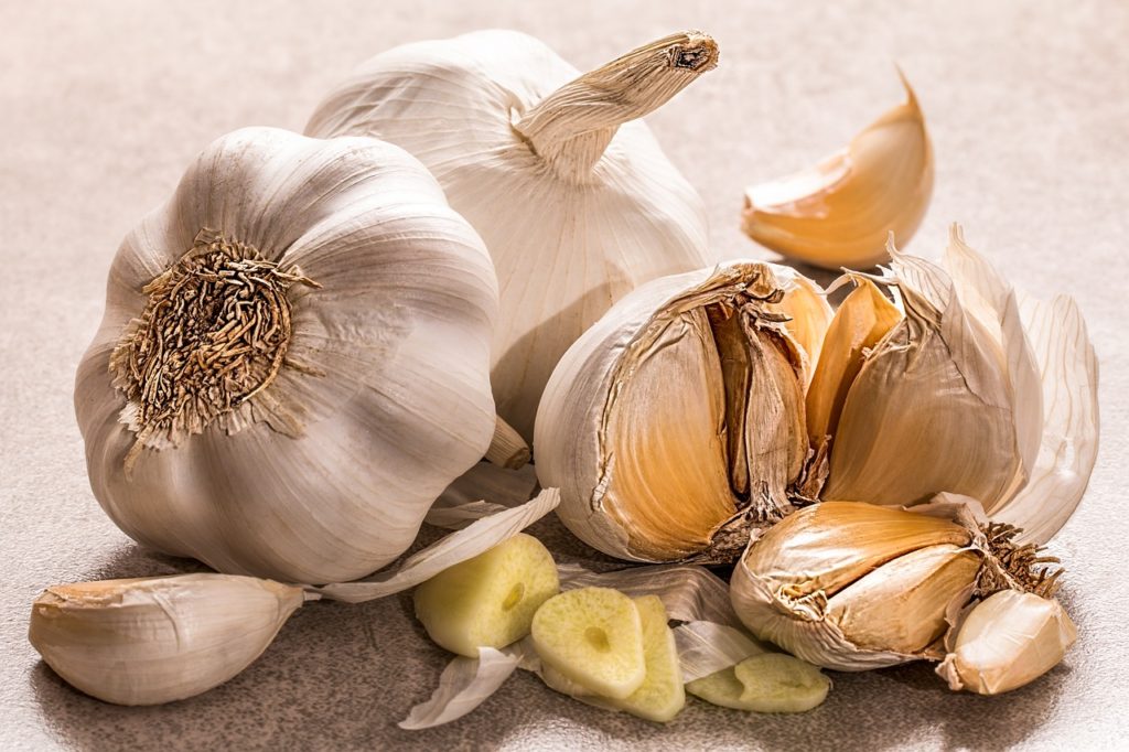 garlic, flavoring, food seasoning